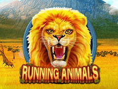 Running Animals thumbnail